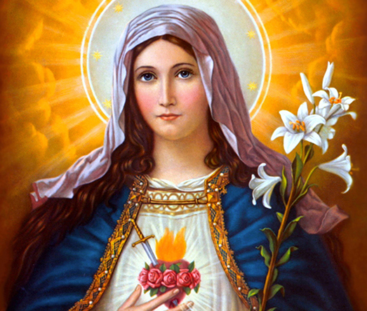23.1 heart of mary